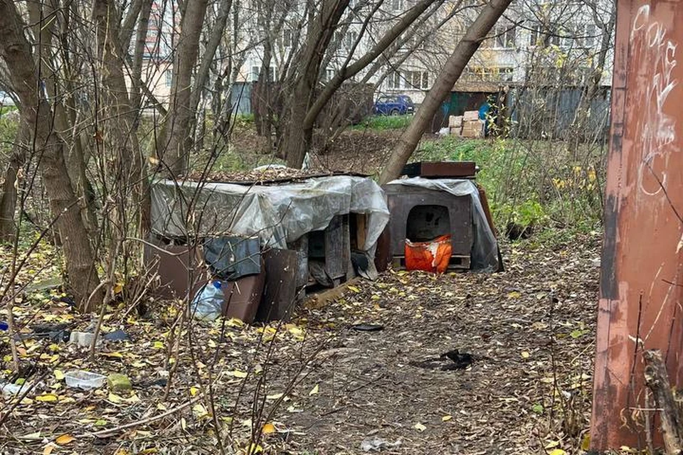 Неизвестные поставили будки для собак рядом с детской песочницей. Фото: "Зоопатруль НН".