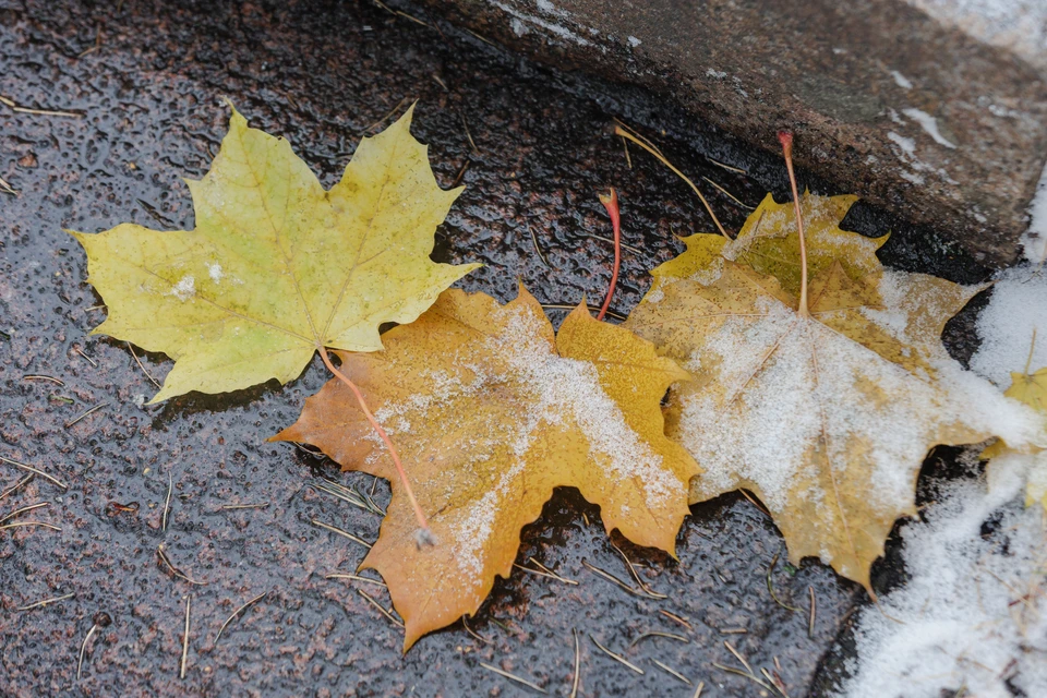 Обычно в ноябре среднесуточная температура падает ниже 0