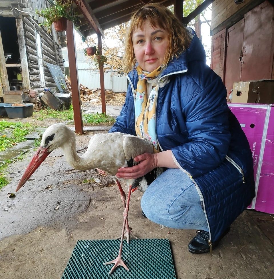 Фото: «Дом Белого Аиста».