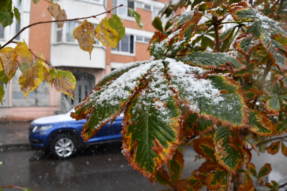 В Кирове ожидаются снег с дождем и похолодание