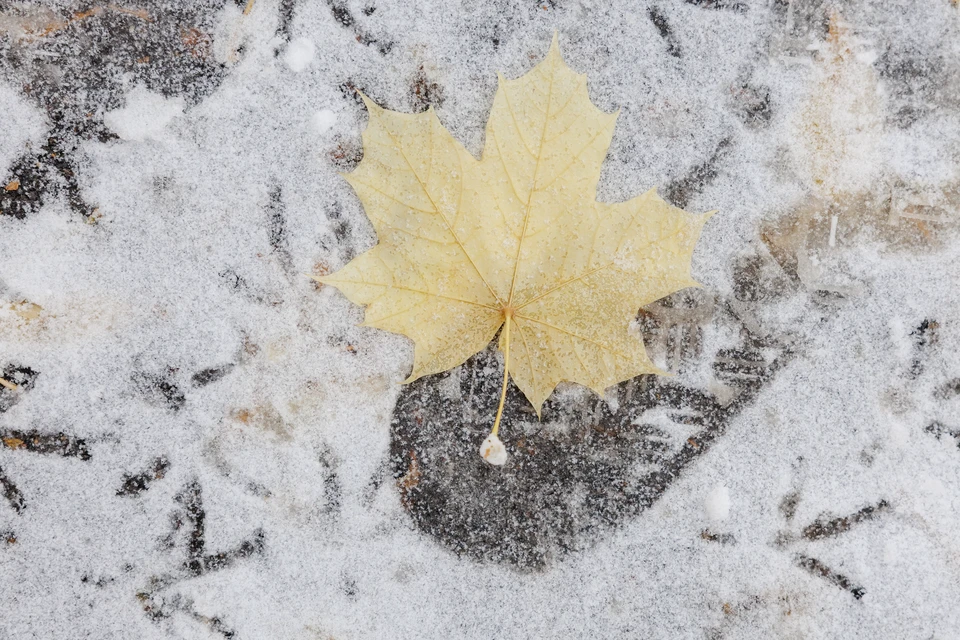 Средняя месячная температура воздуха ожидается выше климатической нормы на 1-3 градуса.
