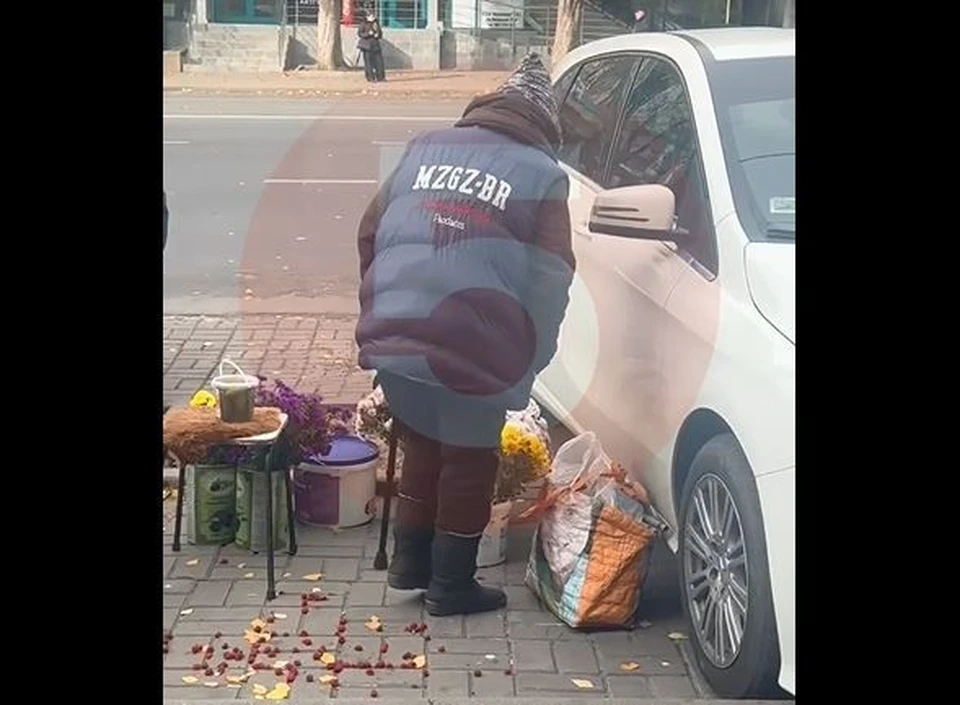 Пожилого человека может обидеть каждый. Фото: скриншот видео