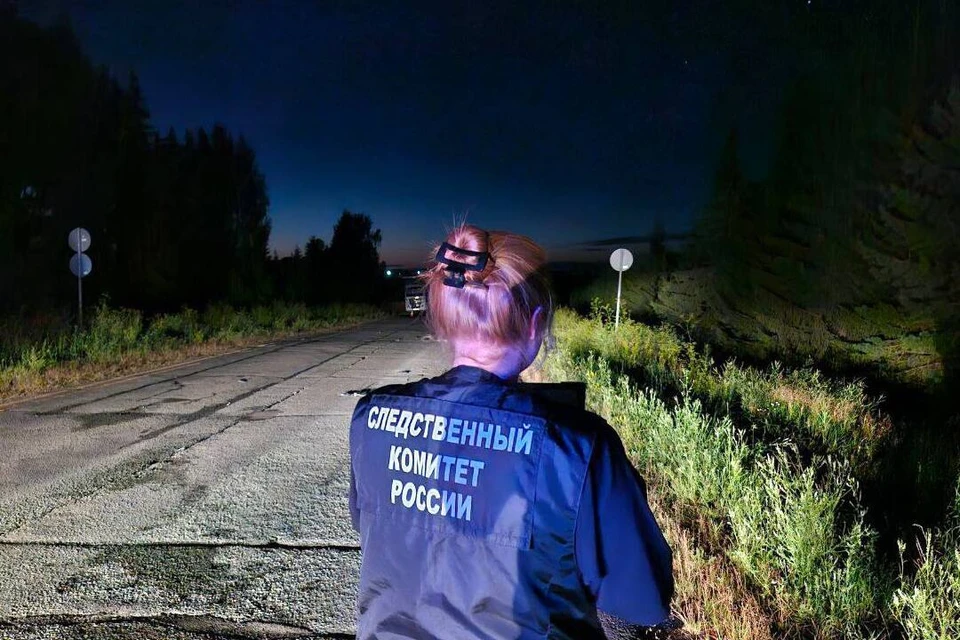 Подсудимого приговорили к 6 годам в колонии-поселении. Фото: СУ СК Удмуртии