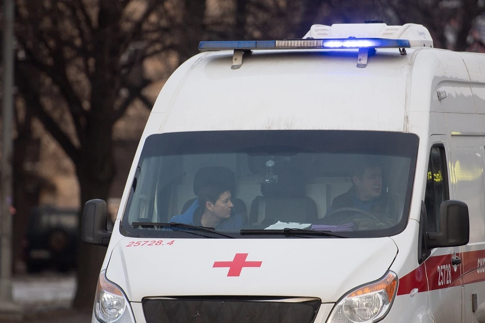 Лист сорвало на улице Добролюбова.