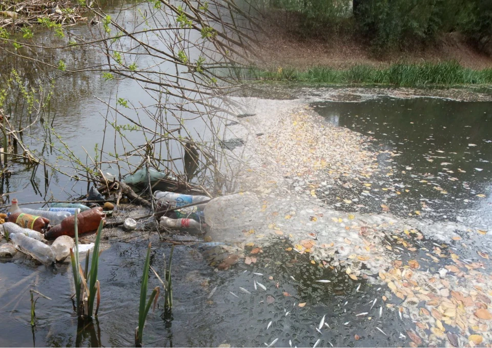 В реке Реут вся таблица Менделеева, причём в большой концентрации. Фото: коллаж КП
