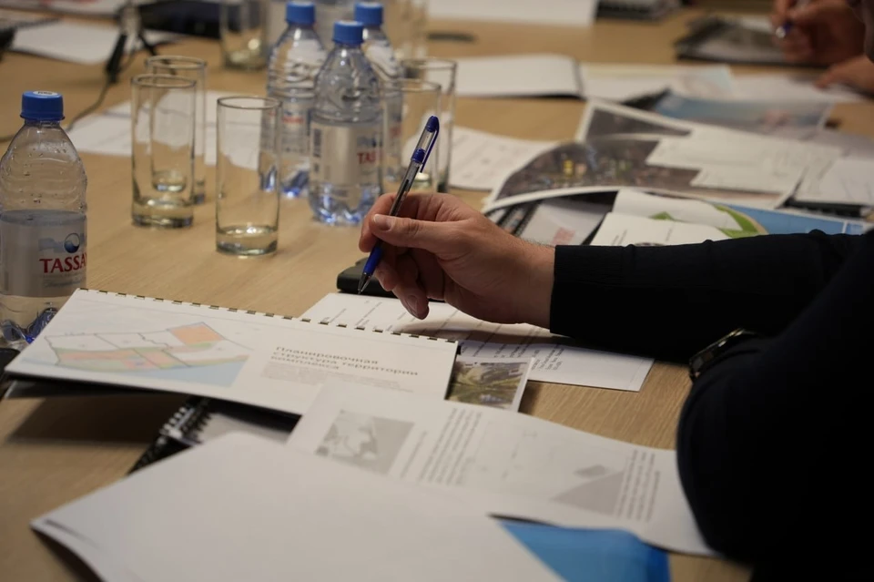 В ДНР провели «Инвестиционный час» с потенциальными инвесторами. Фото: ТГ/Макаров