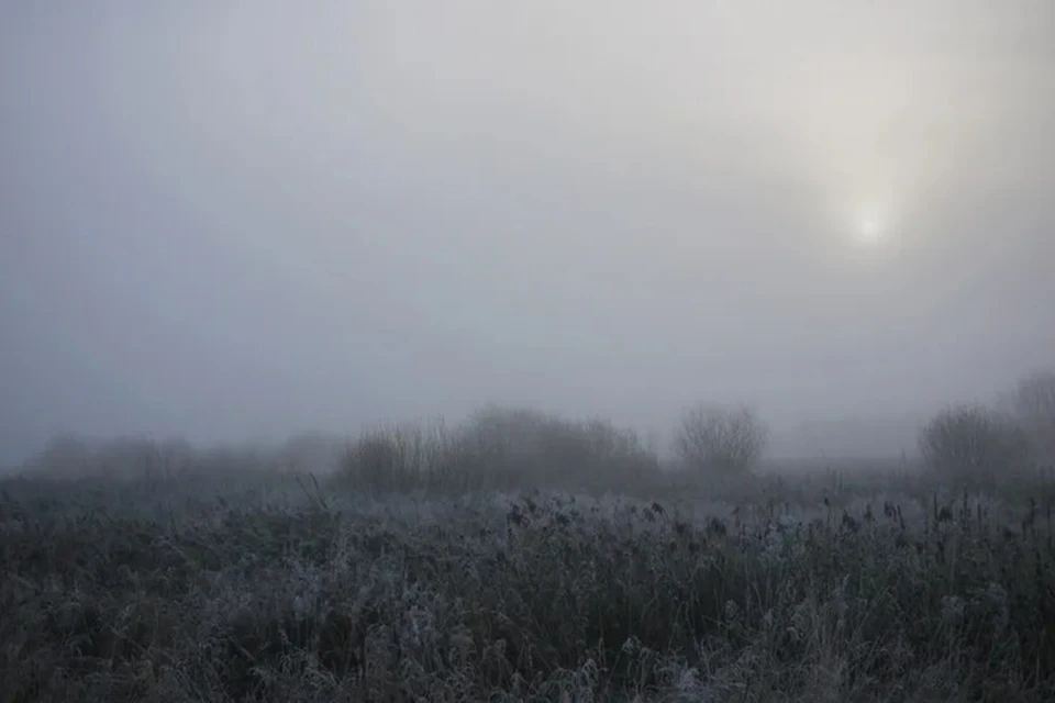 В последние недели месяца в Ижевске часто наблюдались туманы. Фото: Дмитрий Адаховский