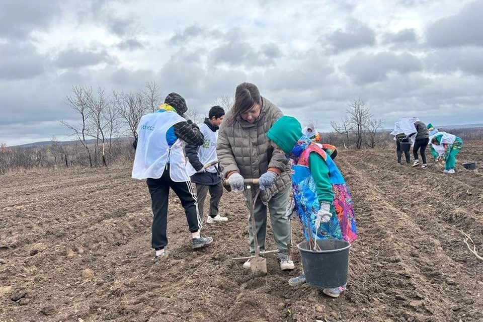 В ДНР восстановят 40 гектаров лесов в рамках акции «Сохраним лес». Фото: ТГ/Ежиков