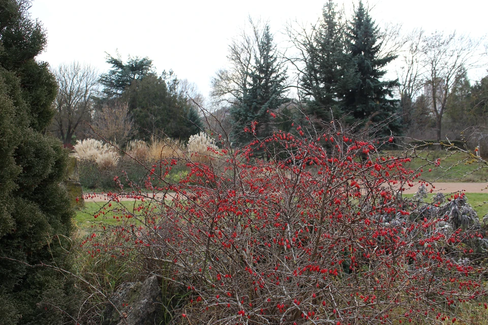 Поздняя осень в Крыму