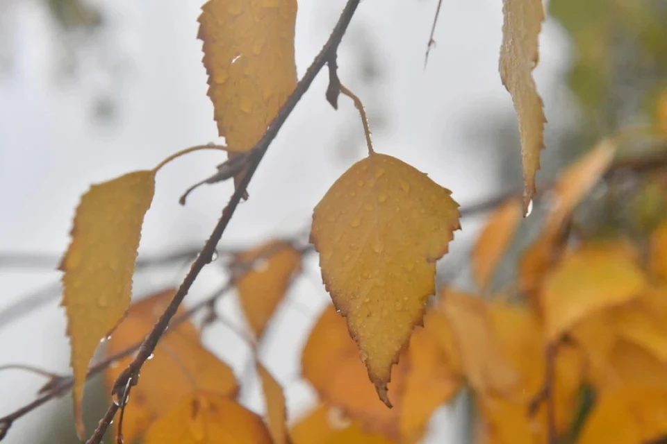 Днём воздух прогреется до +1 градуса