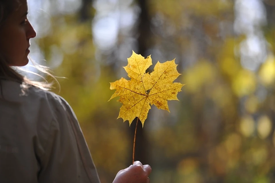 На юге Хабаровского края потеплеет до девяти градусов, на севере пройдет снег