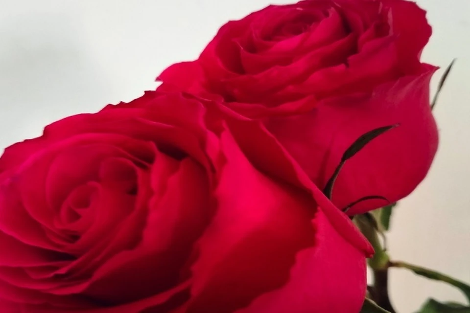 Букет горожанка,конечно, так и не получила. Фото: Георгий БРИНЧУК.