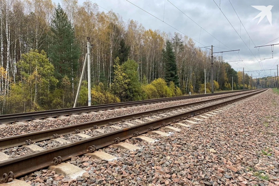 СК сообщил, что могилевчанин погиб под колесами поезда «Москва – Минск». Снимок носит иллюстративный характер. Фото: архив «КП»