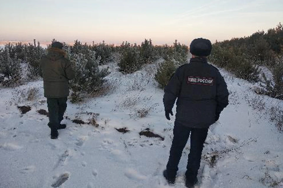 Рейды будут проводить по всех лесничествах