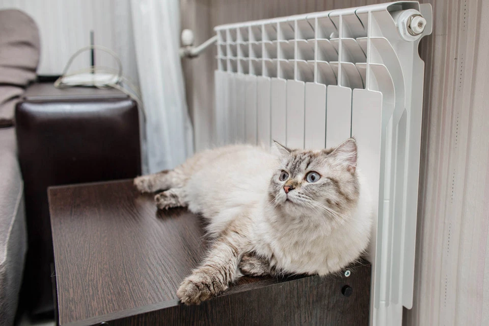 Уже несколько лет подряд по поручению губернатора отопительный сезон начинается досрочно. Фото: Архив «КП»