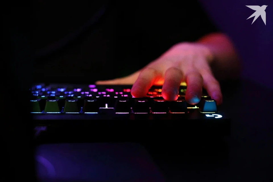 Минчанин познакомился с девушкой в интернете, но пошел в милицию. Снимок носит иллюстративный характер.