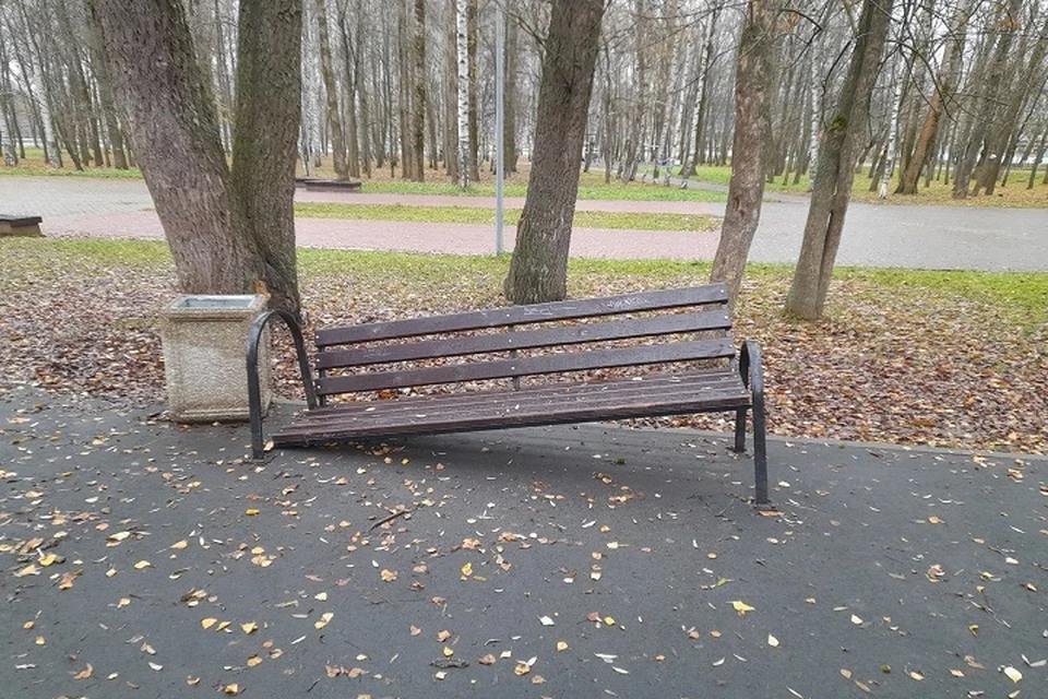 Единственную скамейку сломали. Фото: телеграм-канал Подслушано в Ярославле.