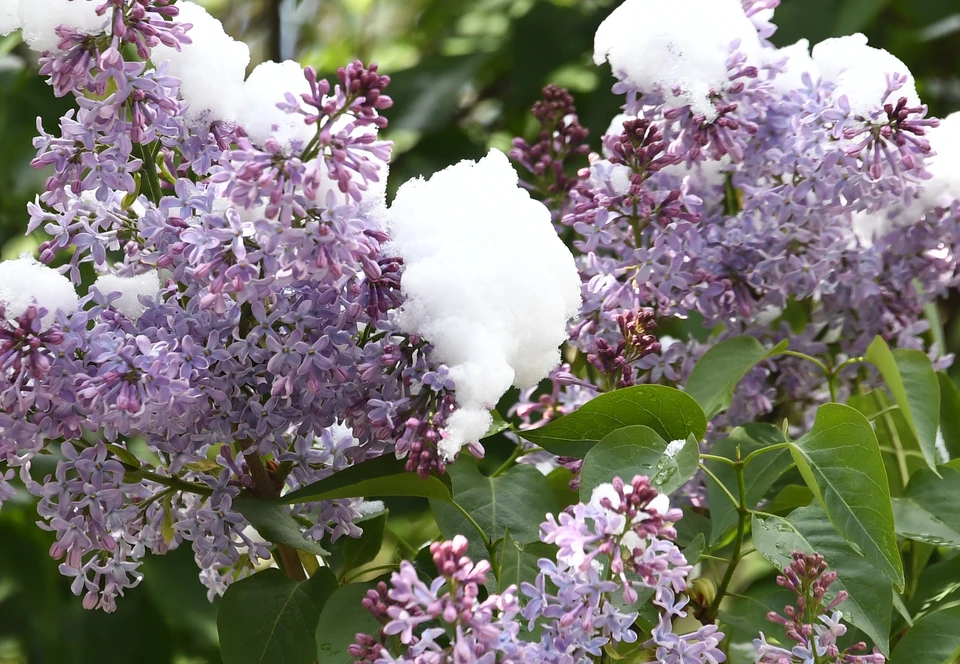 В конце октября погода была на два-три градуса выше нормы