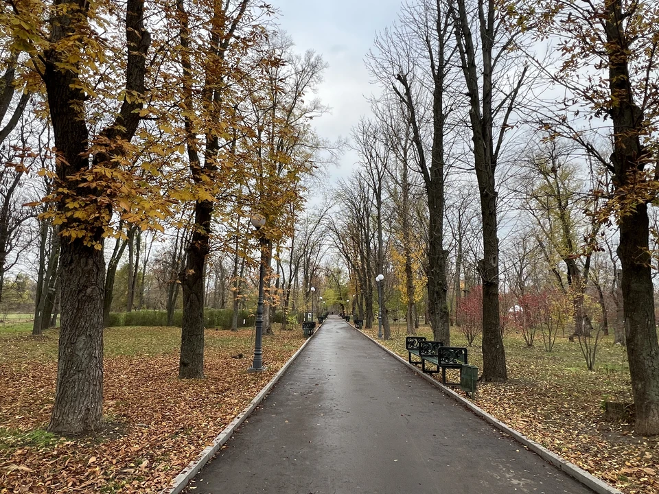 Осадки не ожидаются