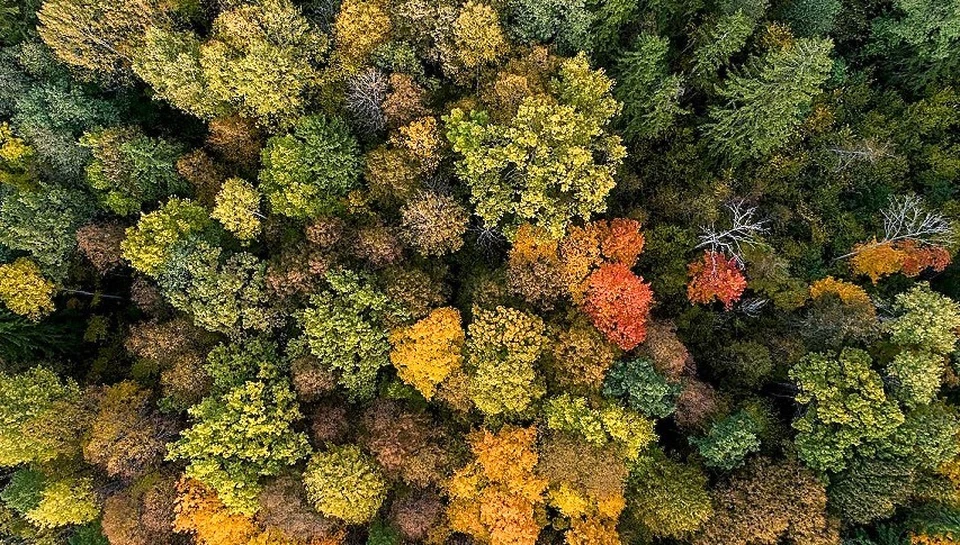Природный заповедник отмечает 33 года со дня образования.