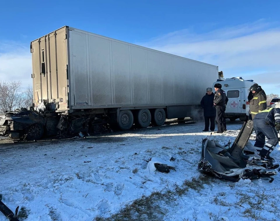 Фото: УМВД России по Омской области