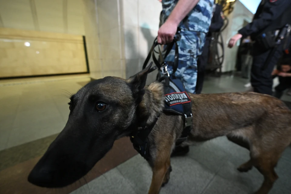 В Ессентуках проверяют сообщение о минировании школы №1