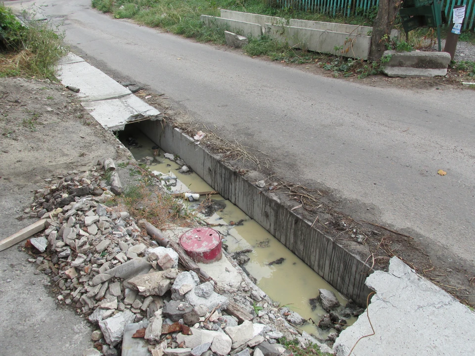 Фото Елены Федяшевой