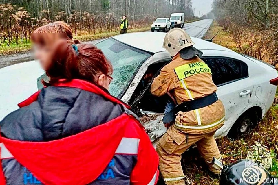 Пострадавших передали в руки медиков. Фото: МЧС по Ленобласти