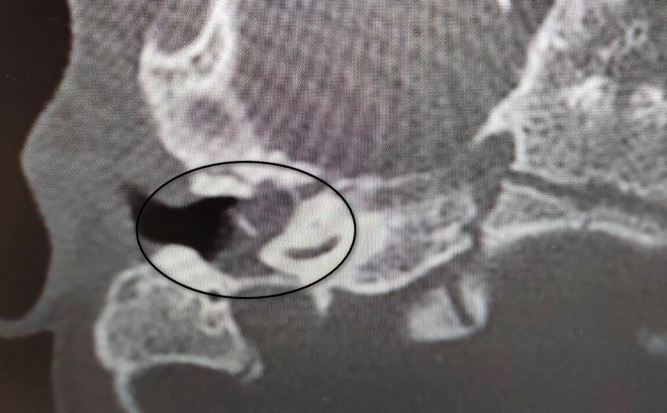 Фото пресс-службы регионального Минздрава.