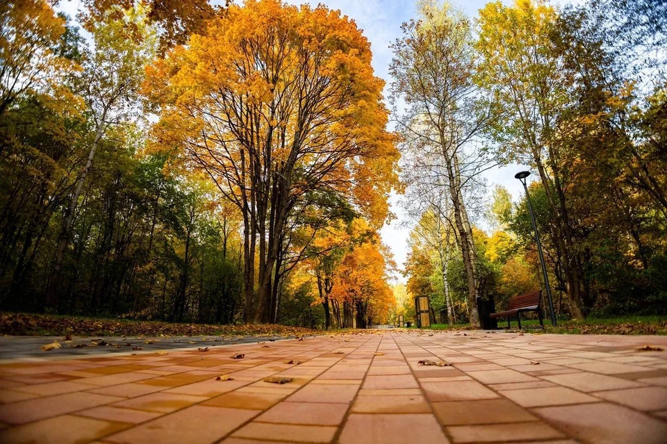 Фото: администрация г. Смоленска.