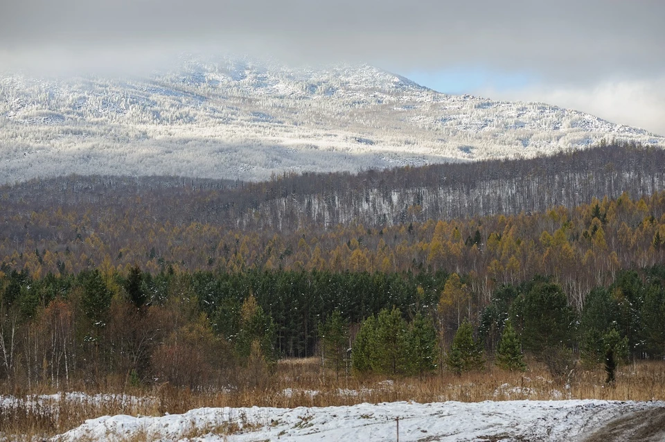 Глава «ЛизаАлерт» Григорий Сергеев рассказал, продолжат ли поиски Усольцевых