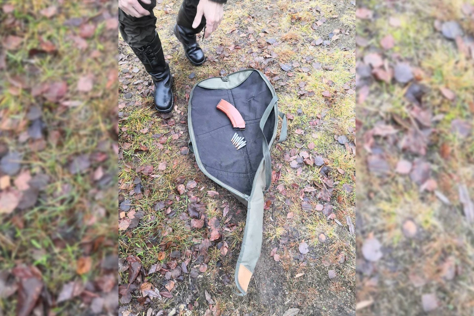 В Мурманской области за две недели выявлено 15 нарушений правил охоты, об этом сообщили в региональном минприроды. Фото: Минприроды Мурманской области / t.me/ministecology_51