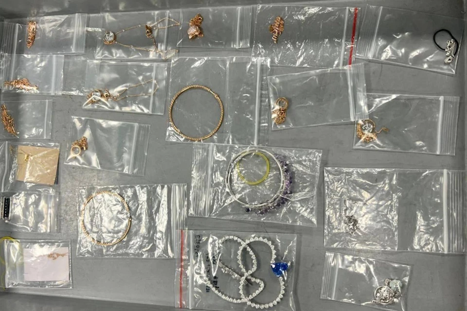 В Домодедово задержана женщину с украшениями на 11 млн рублей Фото: пресс-служба ФТС