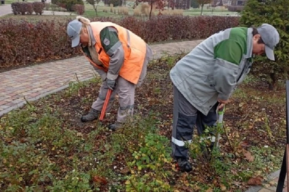 Растениям обеспечат комфортные условия зимовки. Фото: Администрация Мариуполя
