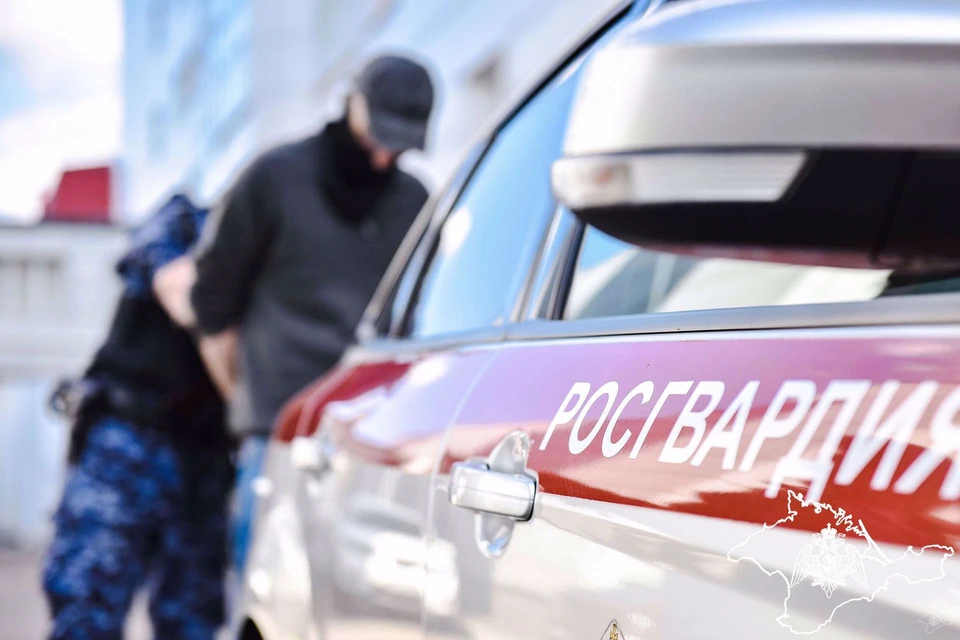 Дебоширов приструнили. Фото: 82.rosguard.gov.ru