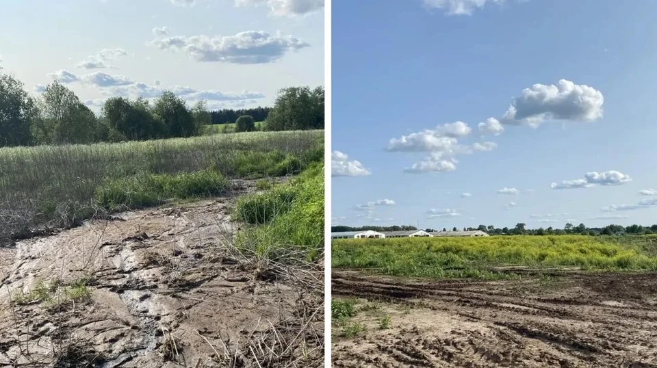 Фото: пресс-служба Минэкологии Кировской области