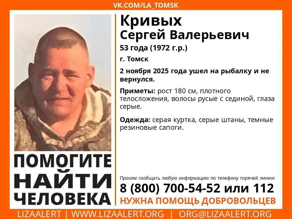 Фото: поисковый отряд «Лиза Алерт»