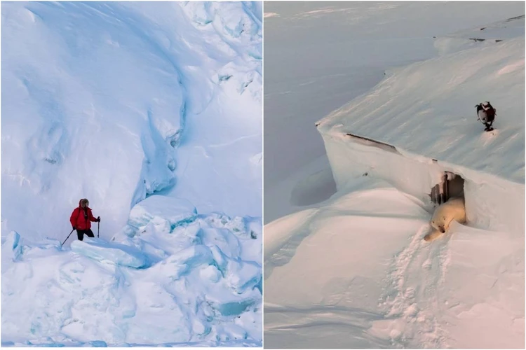 Там, где белые медведи стучат в окна: полярные метеорологи с мыса Челюскин рассказали о своей жизни на краю света