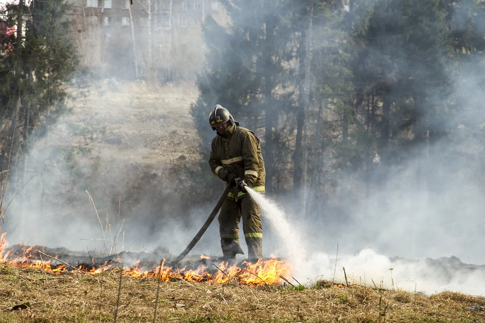 Лесных пожаров в Удмуртии стало почти в два раза меньше