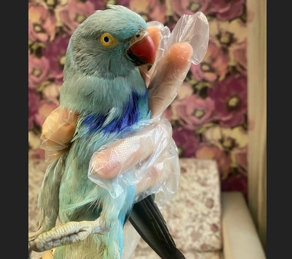 Фото: из личного фотоархива волонтёра