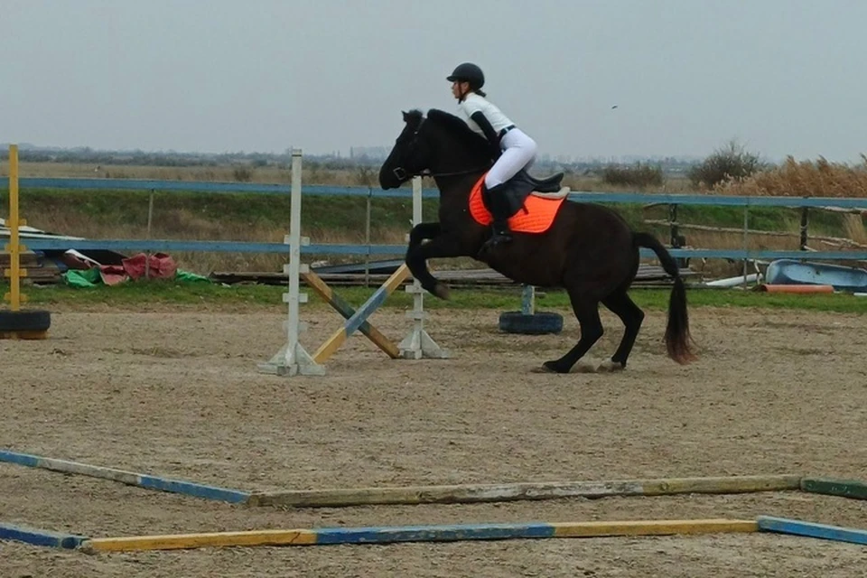 Конные соревнования провели в регионе. Фото: тг-канал Владимира Сальдо