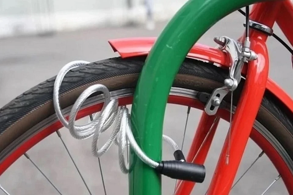 Курьеры оказались одними из самых востребованных специалистов сферы логистики и перевозок