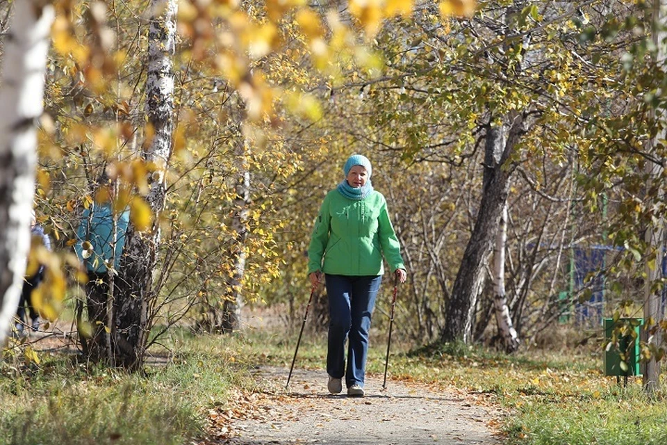 Для костромичей проведут занятие "Рациональная двигательная активность пожилых".