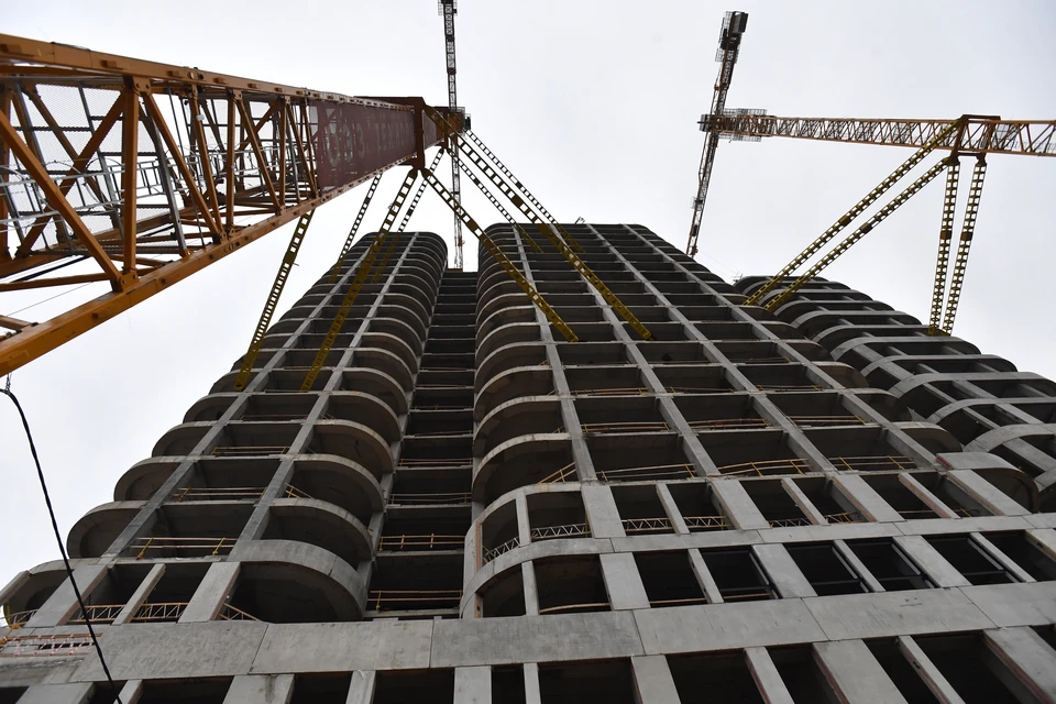 Участок площадью 201 га в Новинках продают под застройку за 2,5 млрд рублей.