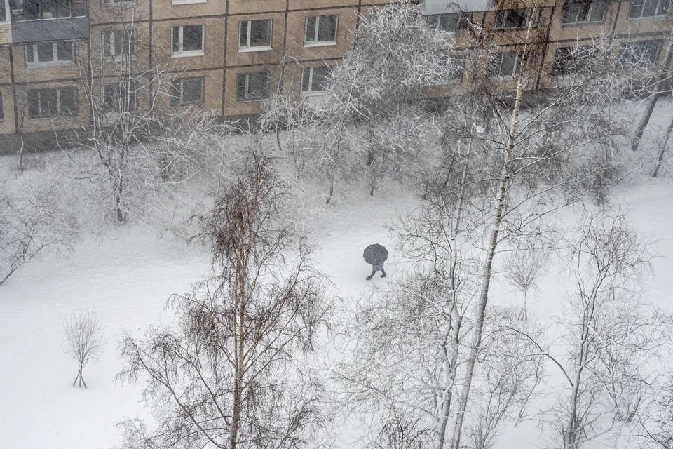 13 ноября в Новосибирске потеплеет до -6.