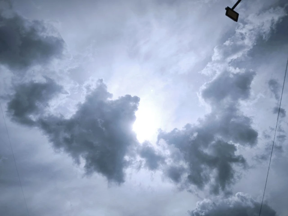 Фото: Анна Ковалева