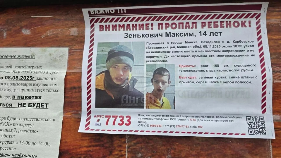 В милиции сказали про основную версию исчезновения подростка в Березинском районе. Фото: Sputnik.by