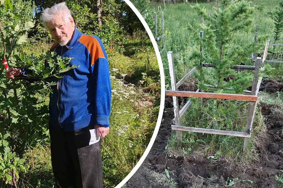 Пенсионер сам носит воду, выращивает новые саженцы и удобряет землю. Фото: Павел Константинов