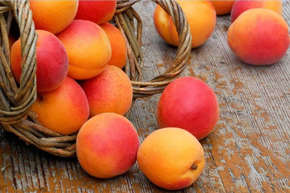 Россиянам рассказали, что добавить в меню для здоровья сердца