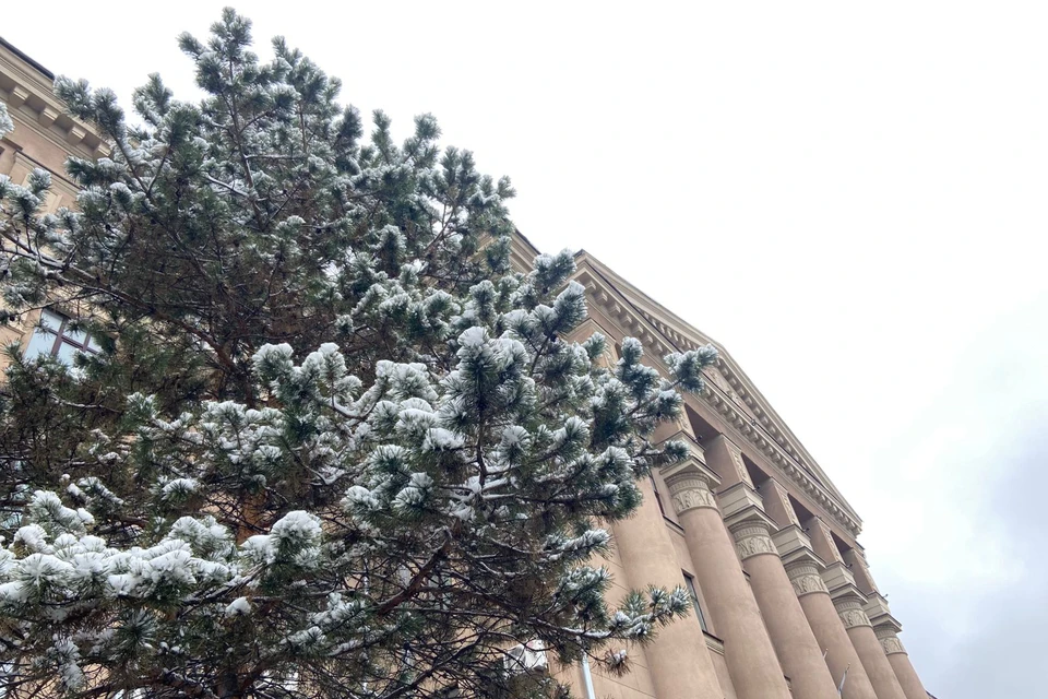 До конца ноября еще две недели, а Хабаровск (да и весь край) уже вступил в климатическую зиму